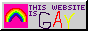 This website is GAY!